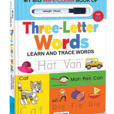 My Big Wipe And Clean Book of Three Letter Words for Kids : Learn And Trace Words