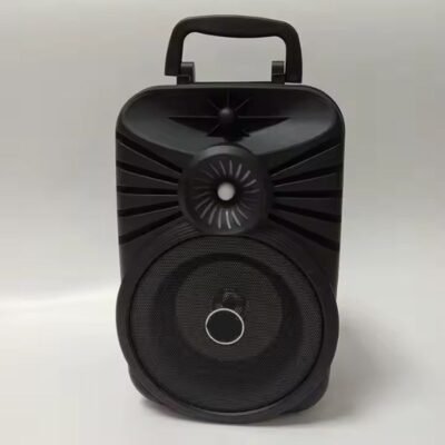 Portable Bluetooth Speaker with DJ/AUX, FM Radio