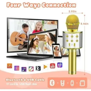 WS-858 Wireless Bluetooth Mic with Speaker Portable