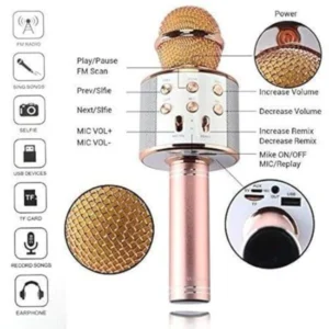 WS-858 Wireless Bluetooth Mic with Speaker Portable