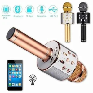 WS-858 Wireless Bluetooth Mic with Speaker Portable