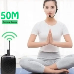 AY-101 Wireless Microphone, Dual Micro USB cable