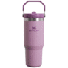 Stanley IceFlow Stainless Steel Tumbler