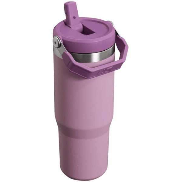 Stanley IceFlow Stainless Steel Tumbler
