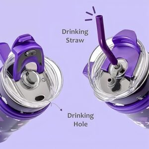 Stainless Steel Insulated Tumbler with Lid, Straw & Handle
