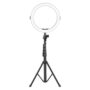 Ring Light with Tripod Stand DRL 12C Professional 10-Inch LED
